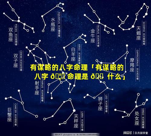 有谋略的八字命理「有谋略的八字 🦄 命理是 🐠 什么」